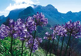 Vacations to Madeira – Guide and Tips