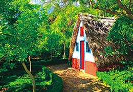 Vacation in Madeira – Levadas and Espadas