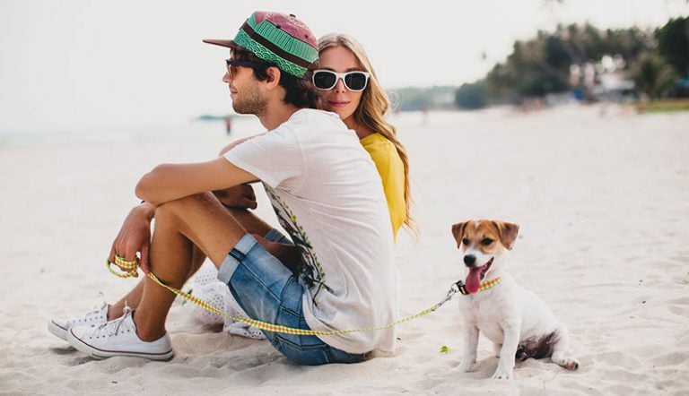couples who want a pet